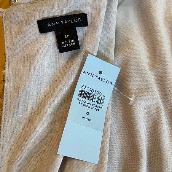 Blouson Silver Sequin Midi Dress; Sleeveless; Evening or Wedding; 8 Petite - Picture 8 of 15